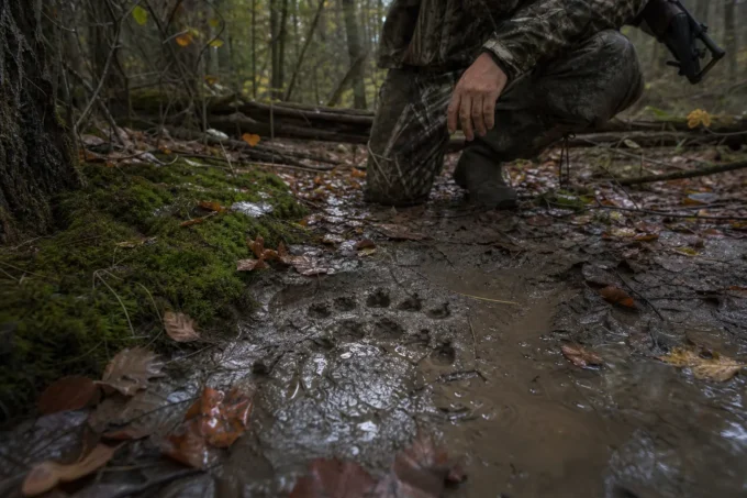 Editorial image for A man with a rifle is not what the woods is worried about in I Was Afraid of the Woods for Three Years Before I Realized I Was the Only Thing Out There With a Plan