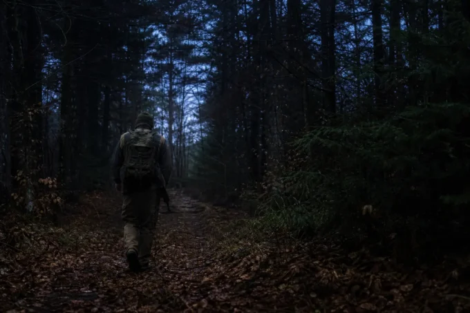 Editorial image for The cure is not bravery, it is familiarity in I Was Afraid of the Woods for Three Years Before I Realized I Was the Only Thing Out There With a Plan