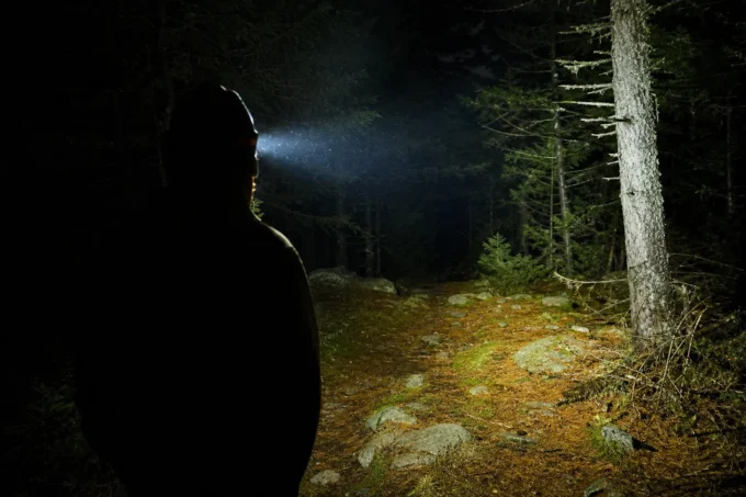 Editorial image for The Brighter the Light, the Bigger the Fear Behind It in Learning to Trust the Dark When the Headlamp Dies