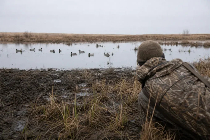 Editorial image for The Day the Water Kept Its Word in Stealth, Mud, and the Art of Jump Shooting Ducks