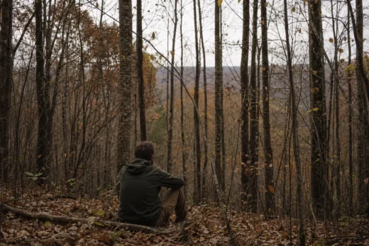 A person kneels in a leaf-covered forest, facing tall trees, with muted hills in the distance