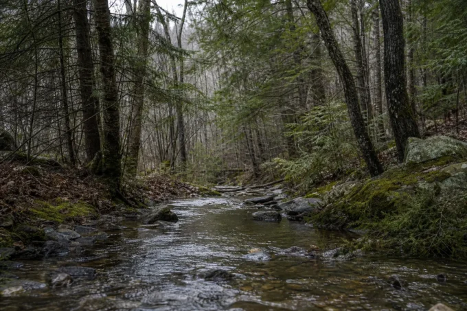 Editorial image for Walking Out Felt Longer Than Walking In in The Afternoon I Got Lost on Public Land and Walked in Circles Until I Sat Down