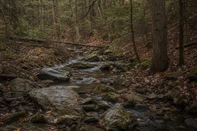Editorial image for The Shot Felt Perfect in The Blood Trail That Goes Cold at the Creek