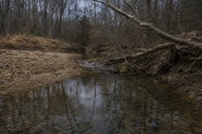 Editorial image for The Creek Where It All Died in The Blood Trail That Goes Cold at the Creek