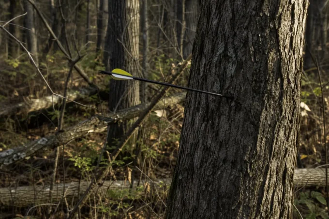 Black and yellow arrow shaft and fletching resting across a tree trunk in a wooded area