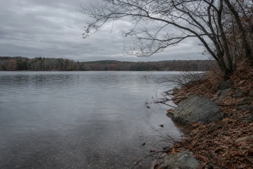 Calm lake water with a rocky shoreline, fallen leaves, and bare branches overcast sky and distant tree-covered hills