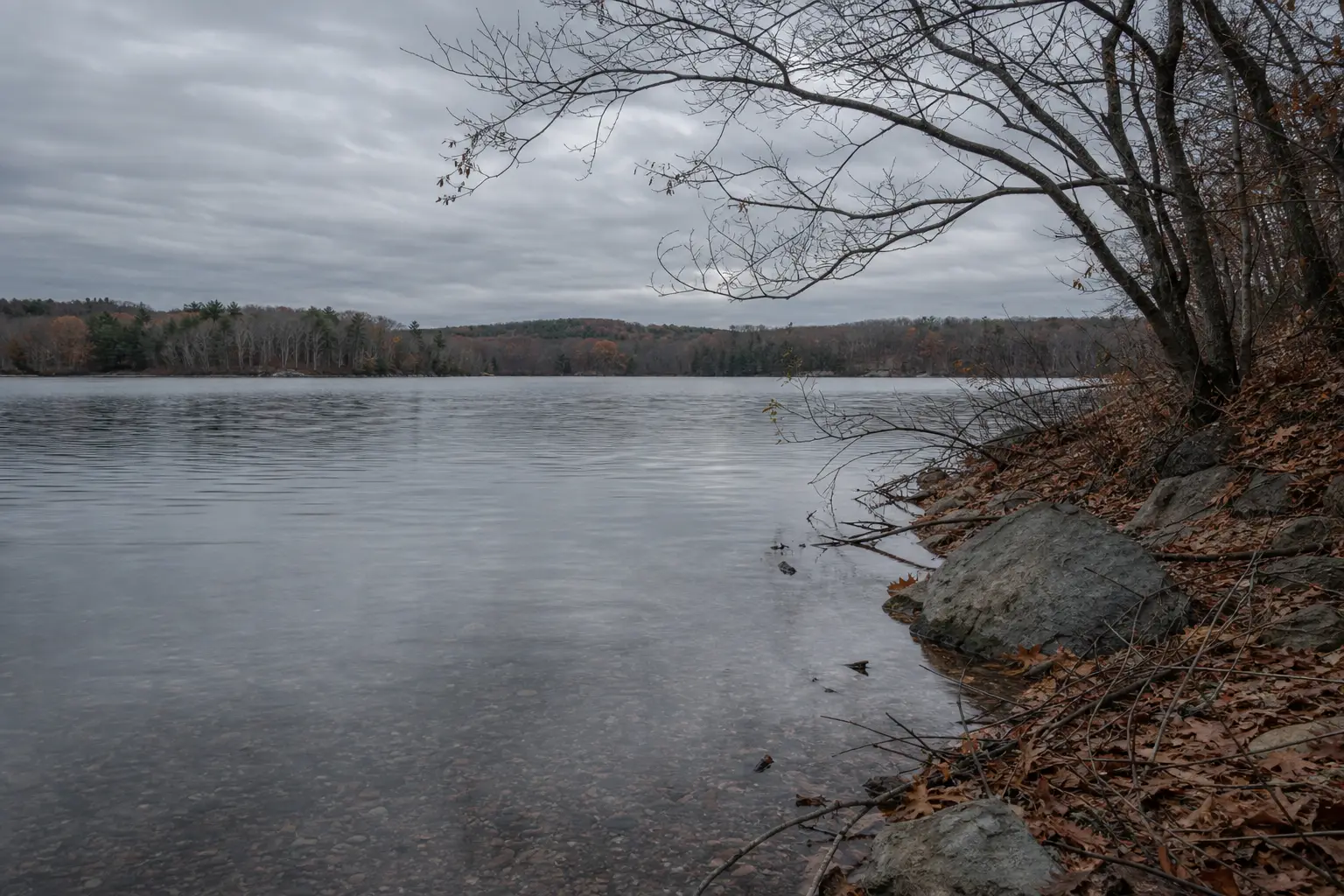 Calm lake water with a rocky shoreline, fallen leaves, and bare branches overcast sky and distant tree-covered hills