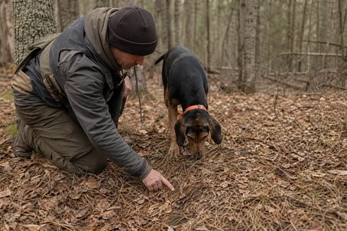 Editorial image for What That Buck Taught in The Gut Shot That Taught Patience, and Then Taught Shame