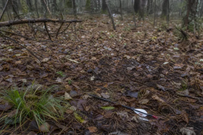 Editorial image for The Blood Trail That Never Really Started in The ‘No Man’s Land’ Shot and What to Do When the Blood Trail Dies