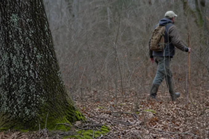 Editorial image for What the First Shot Does Not Do in The Razorback That Never Stays Down