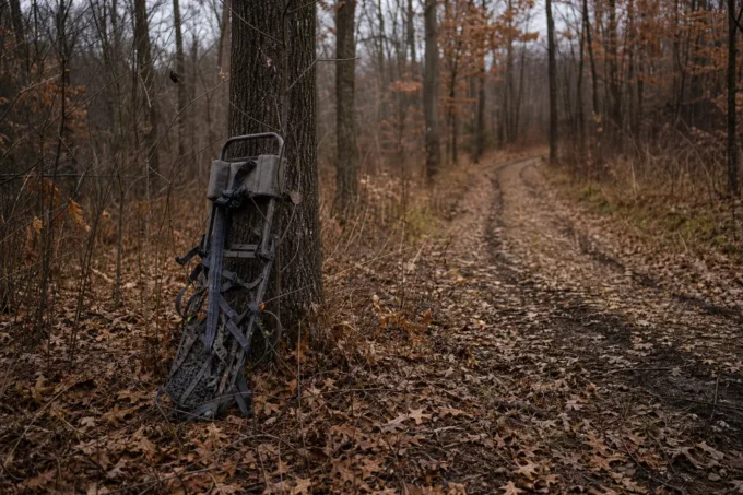 Editorial image for The First Empty October in The Two-Year Drought Ends Because of a Squirrel