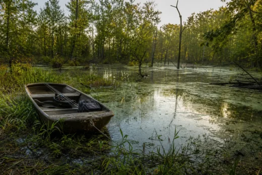 A small boat sits in a calm forest pond, with reflections on the water and trees lining the shore