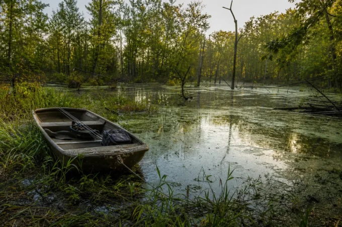 A small boat sits in a calm forest pond, with reflections on the water and trees lining the shore