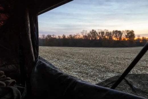 View from inside a tent toward a grassy field at dusk, with dark fabric walls and stakes framing the scene