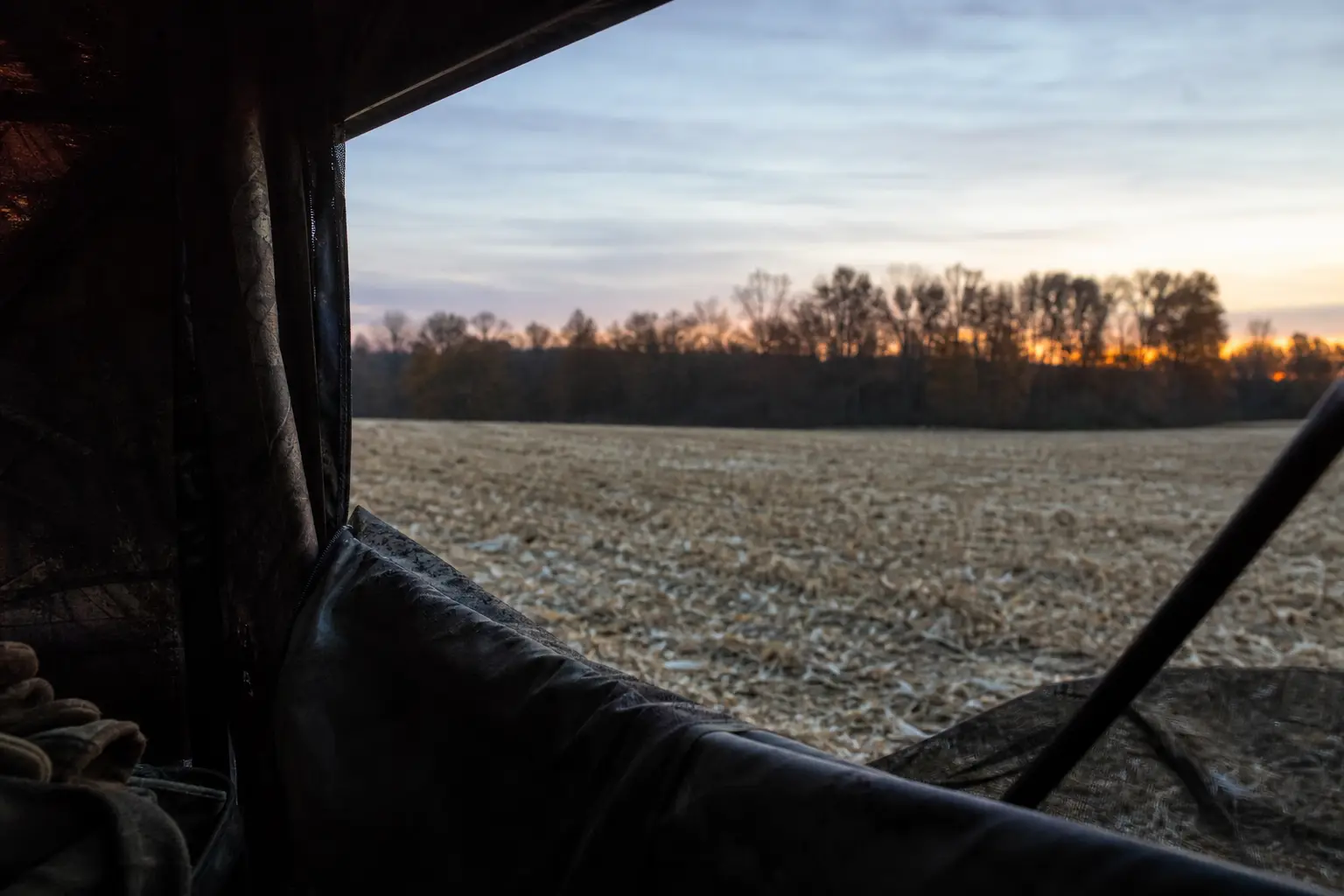 View from inside a tent toward a grassy field at dusk, with dark fabric walls and stakes framing the scene