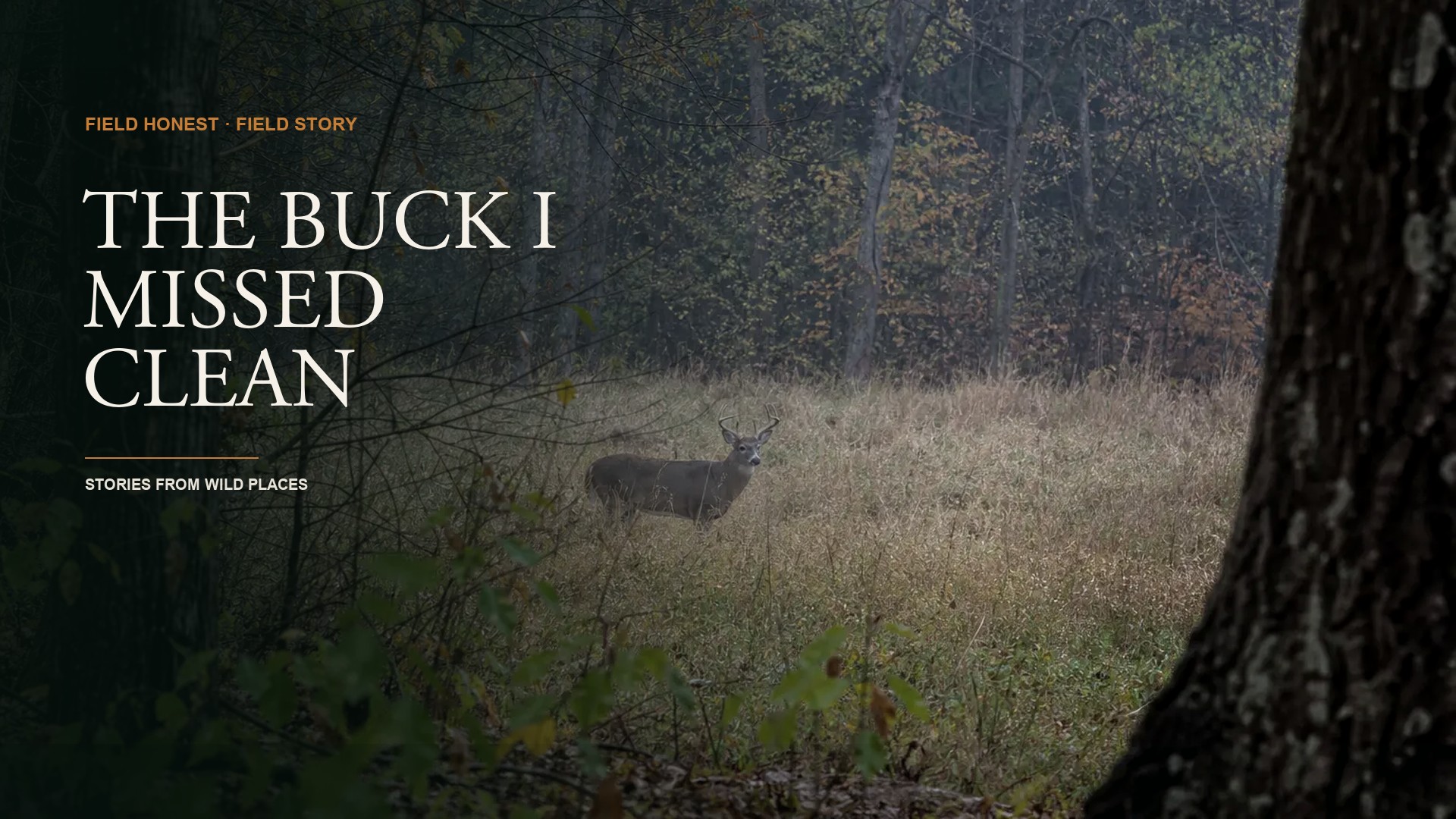 A Summer of Practice Collapsed When the First Buck Stepped Out