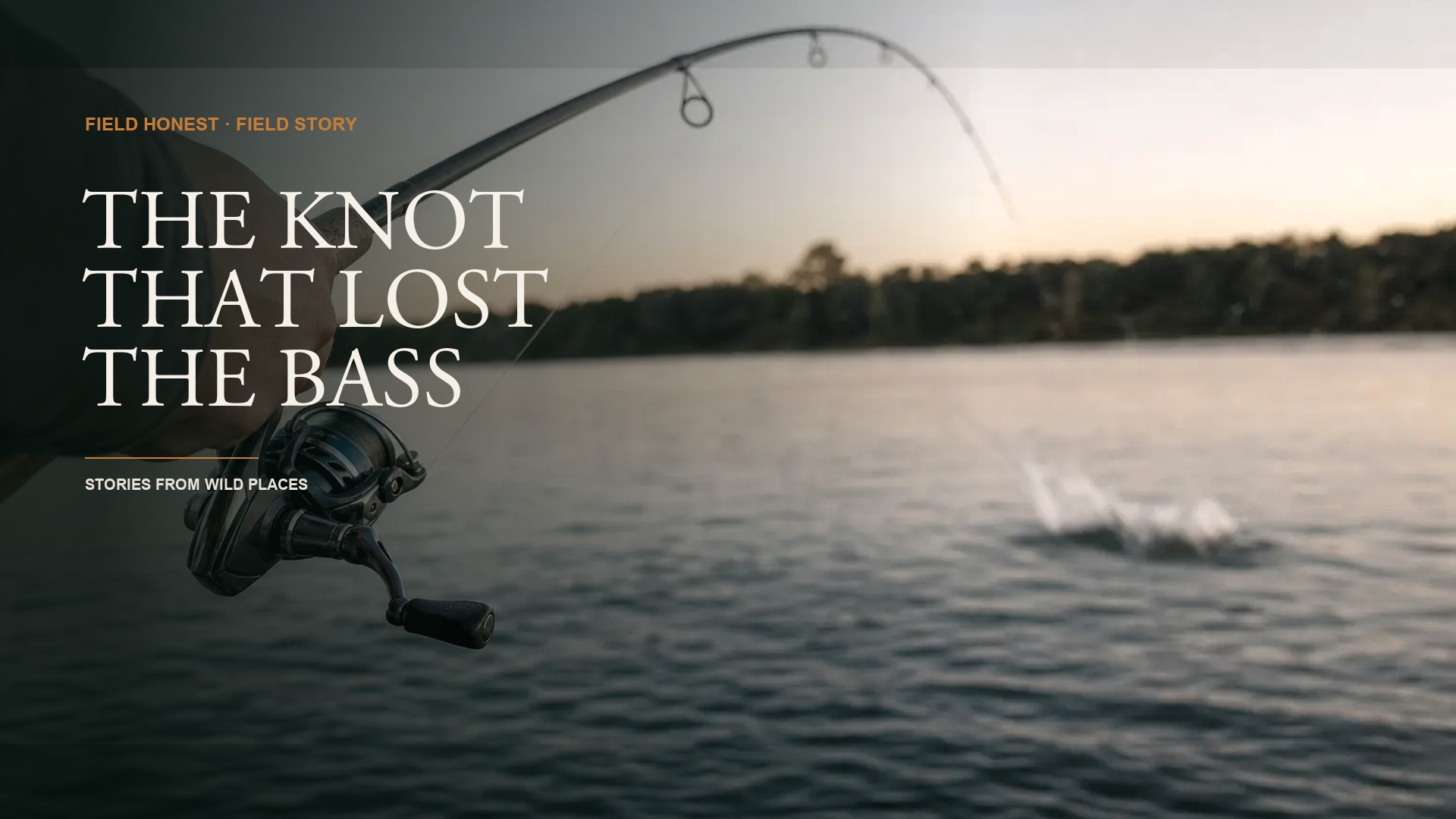 I Lost the Biggest Bass of My Life to a Knot I Was Too Stubborn to Check episode artwork