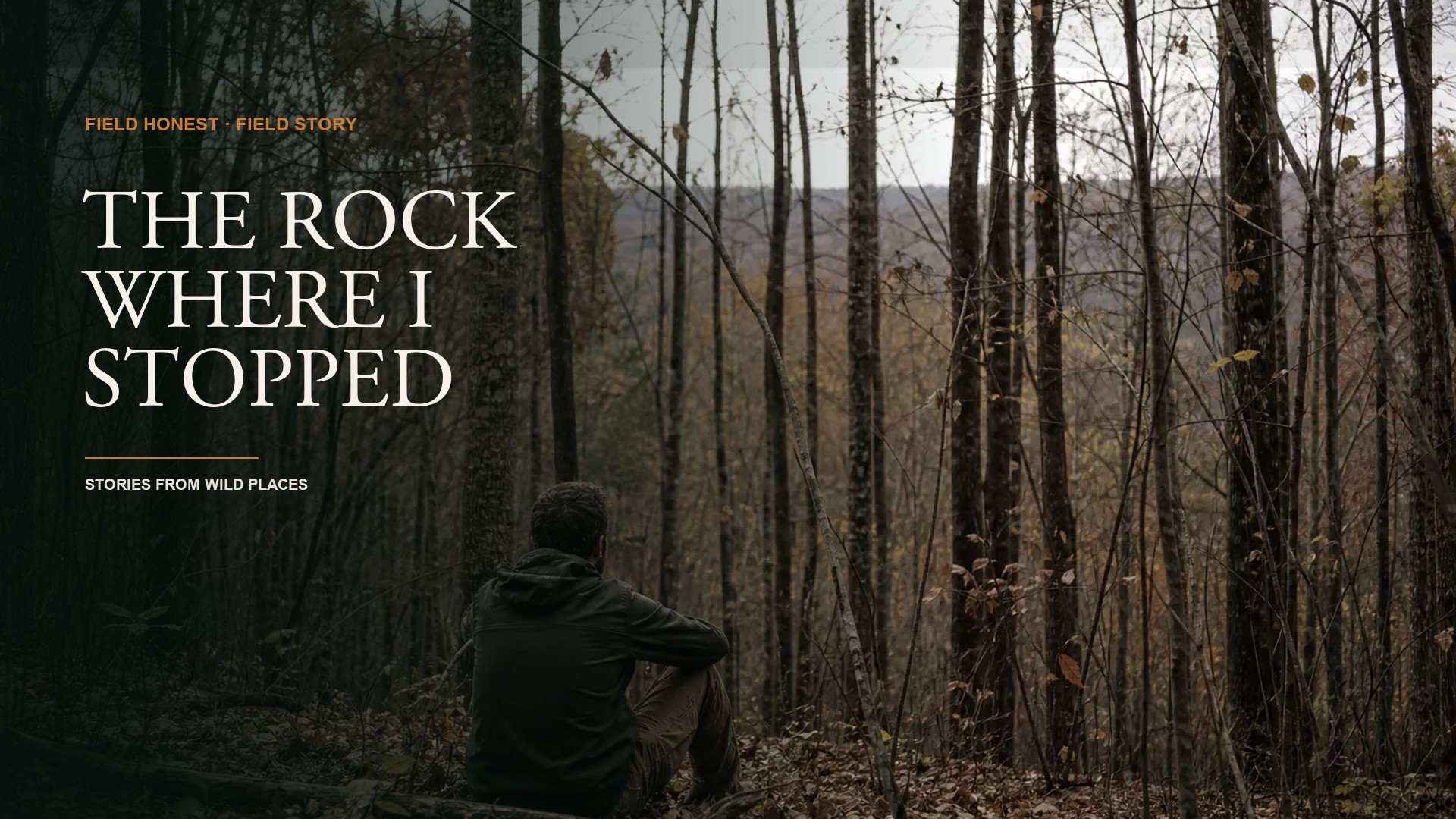 The Afternoon I Got Lost on Public Land and Walked in Circles Until I Sat Down episode artwork