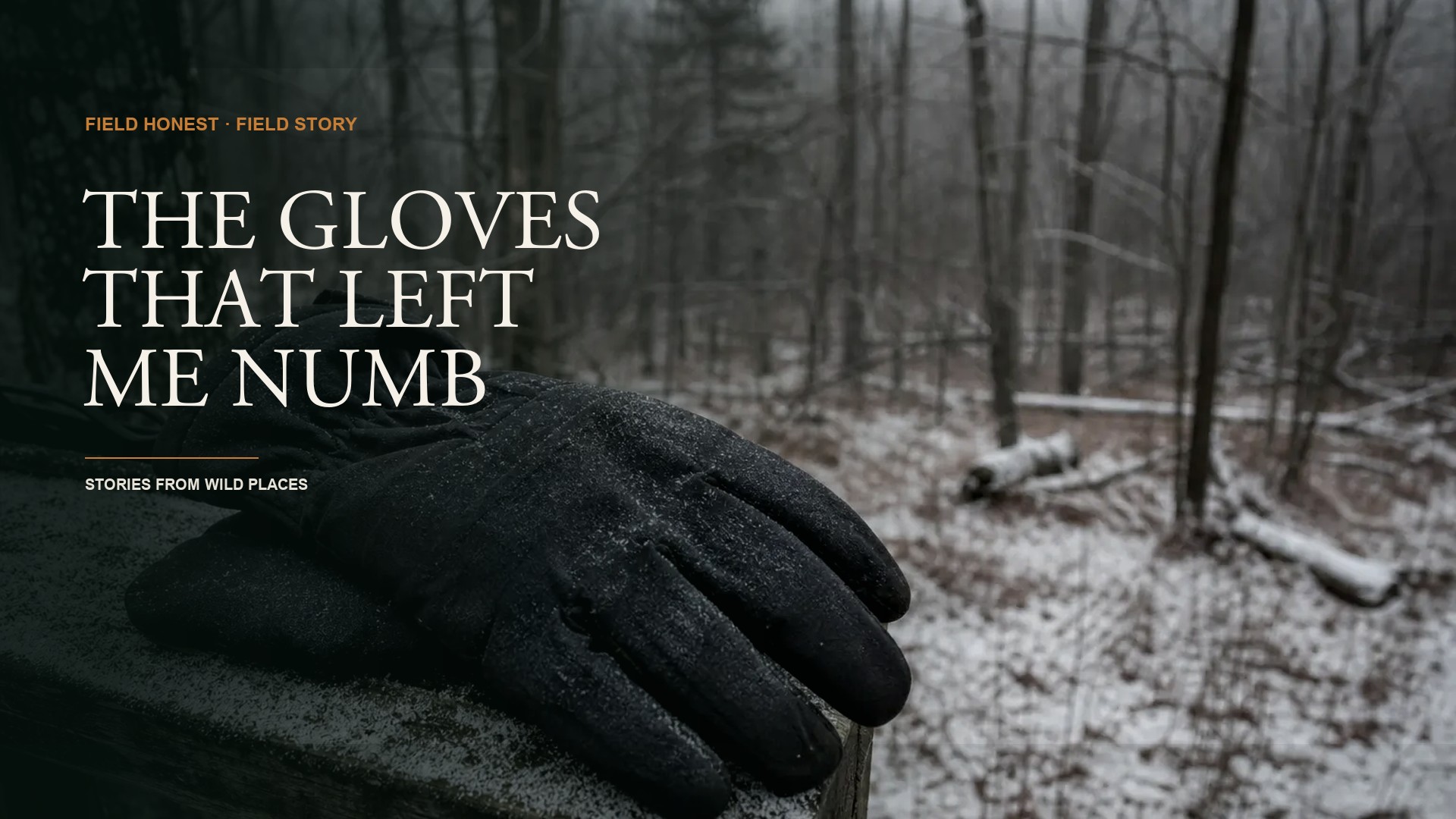 I Trusted an Eleven Dollar Pair of Gloves to Keep My Hands Warm, and I Watched My Deer Walk Away episode artwork