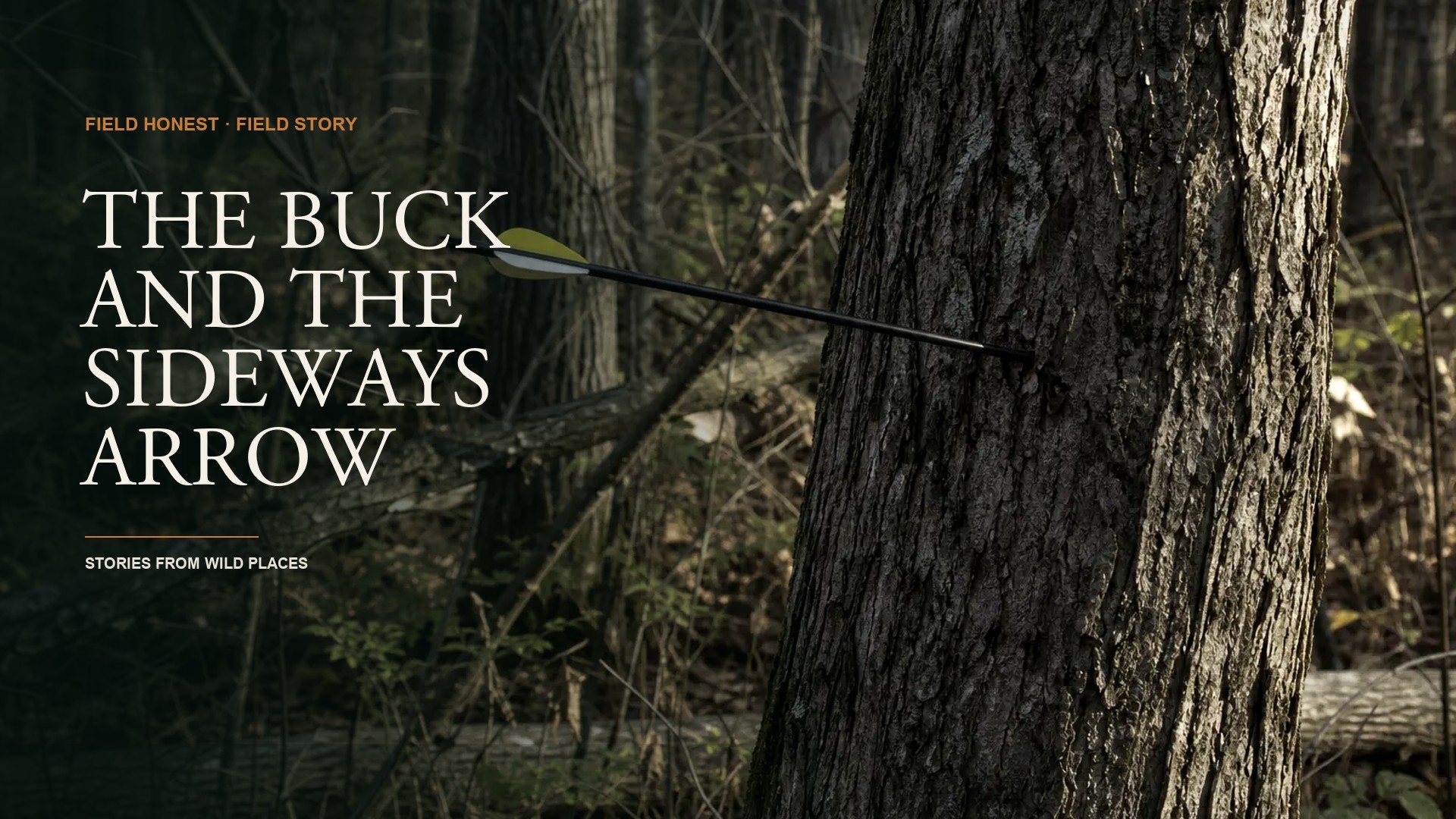 The Buck Fever That Turned My Brain to Mush and My Arrow Sideways episode artwork
