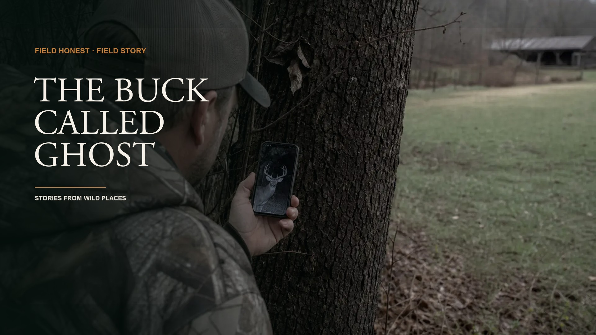 I Let a Trail Cam Buck Own Me for a Whole Season, and I Ate Tag Soup for Thanksgiving episode artwork