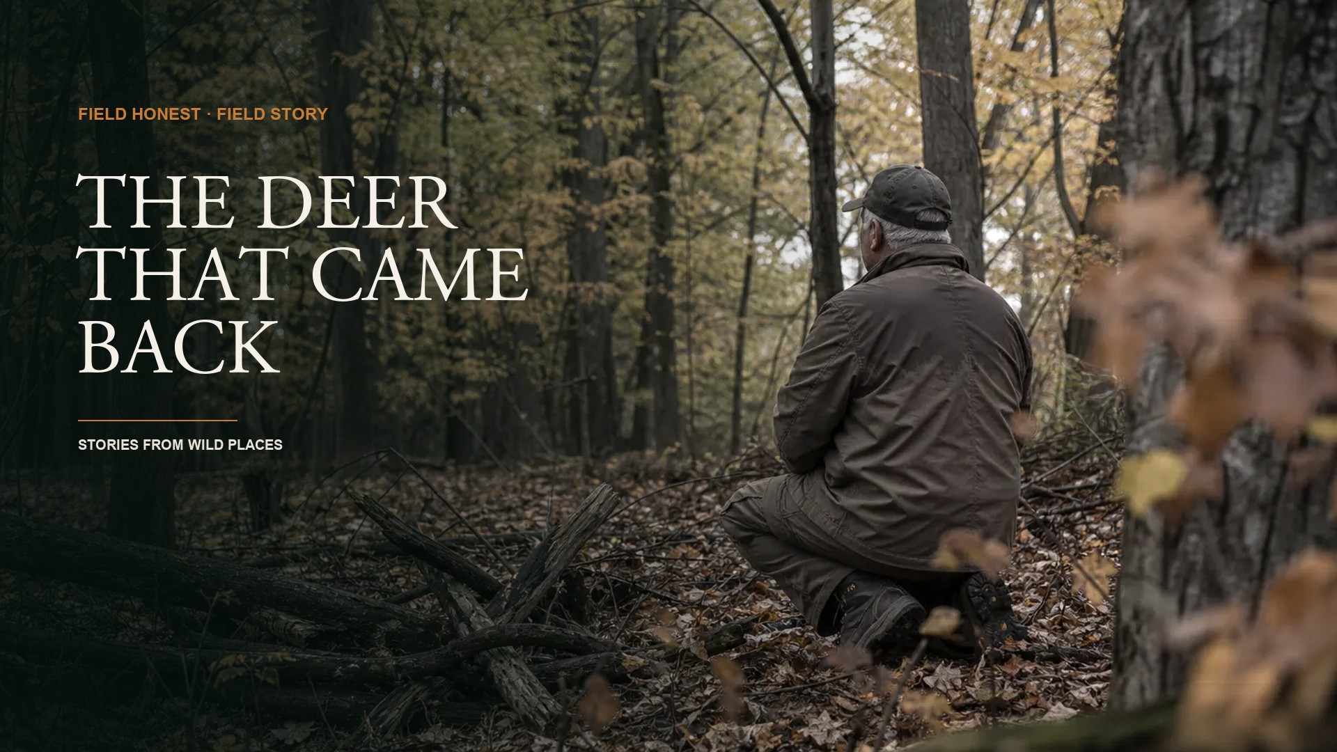 I Could Not Send the Arrow This Season, and the Deer Came Back Anyway episode artwork