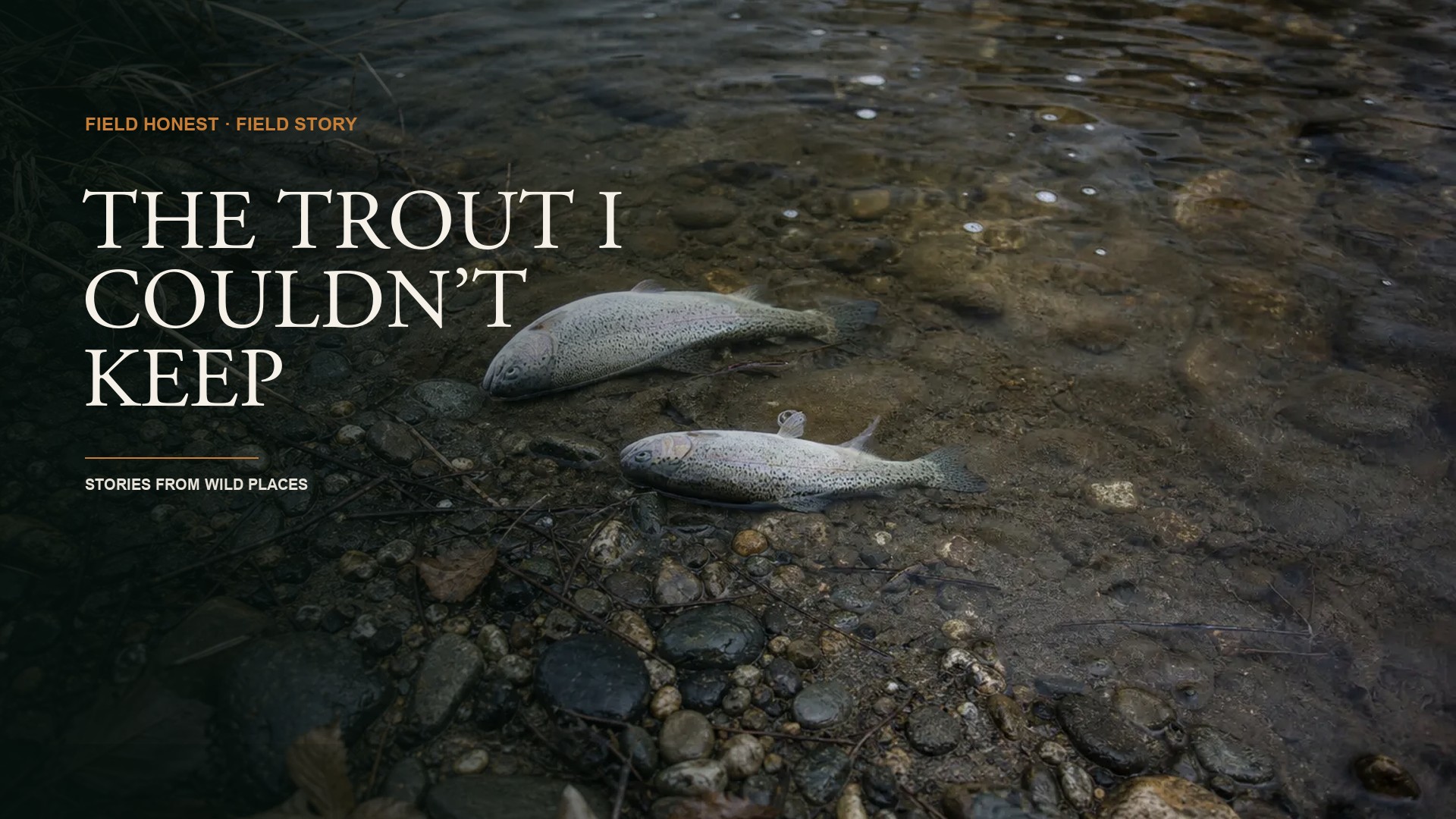 I Killed Two Trout I Couldn’t Keep, and Nobody Told Me Catch and Release Was a Skill episode artwork
