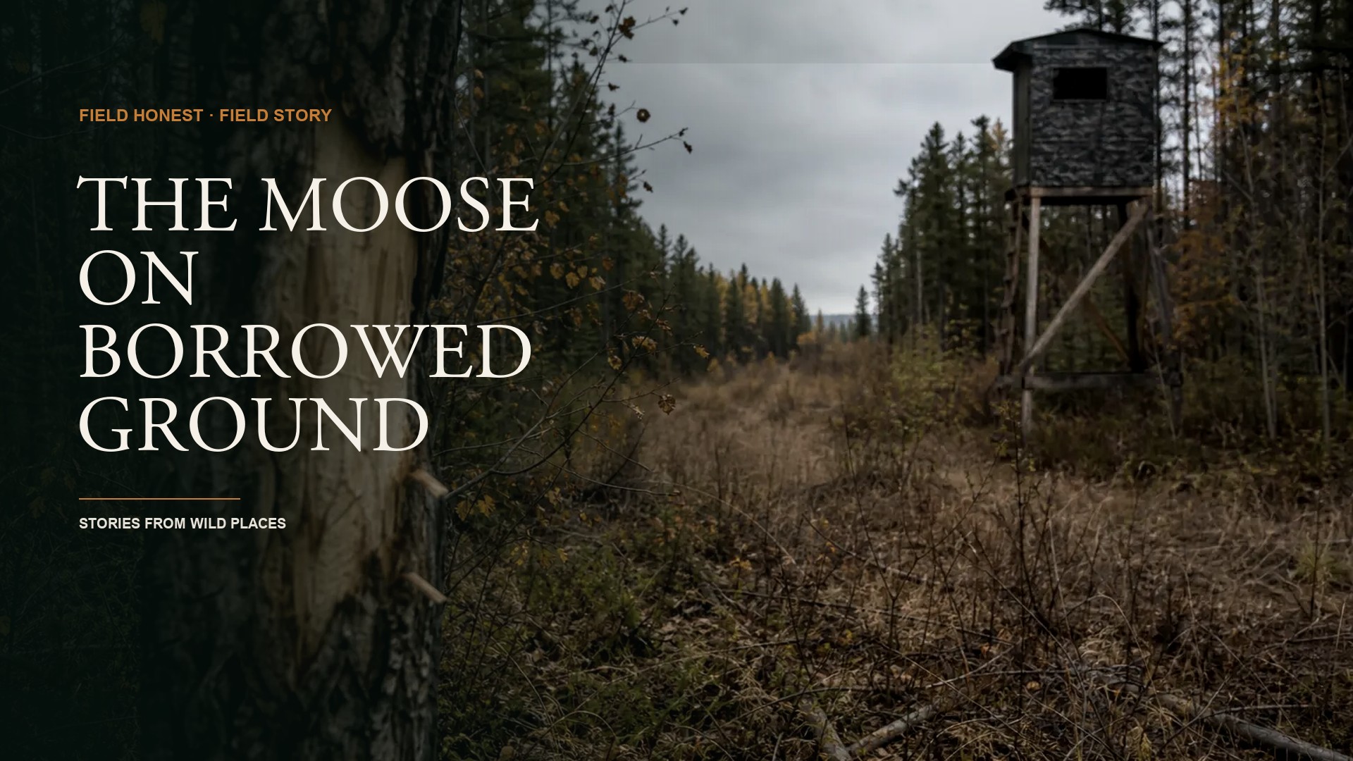 I Got Territorial Over a Moose I Would Never Own and It Almost Cost Me the Tag