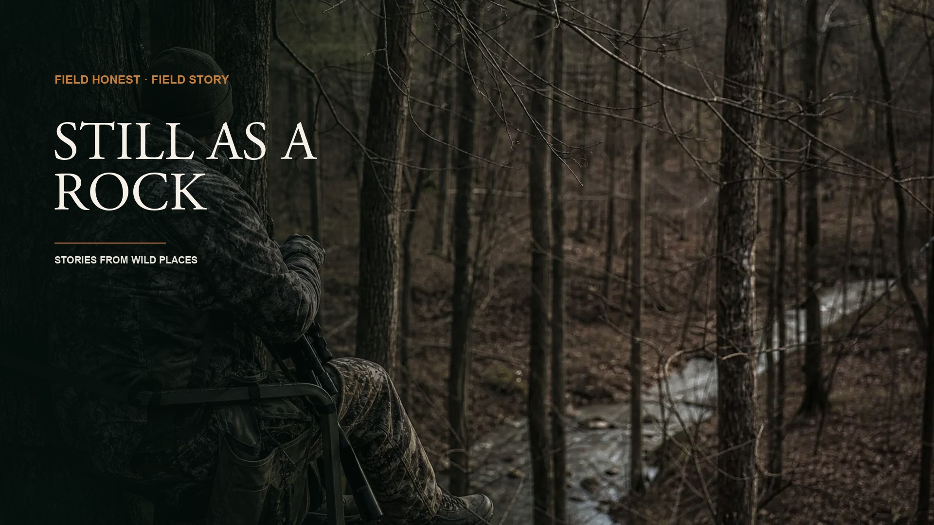 I Hunted 200 Days and Saw Nothing Because I Wouldn’t Sit Still