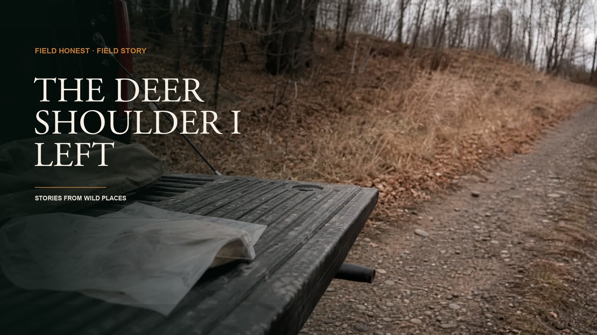 I Threw Away a Deer Shoulder and Called It Fine. I Was Lying to Myself. episode artwork