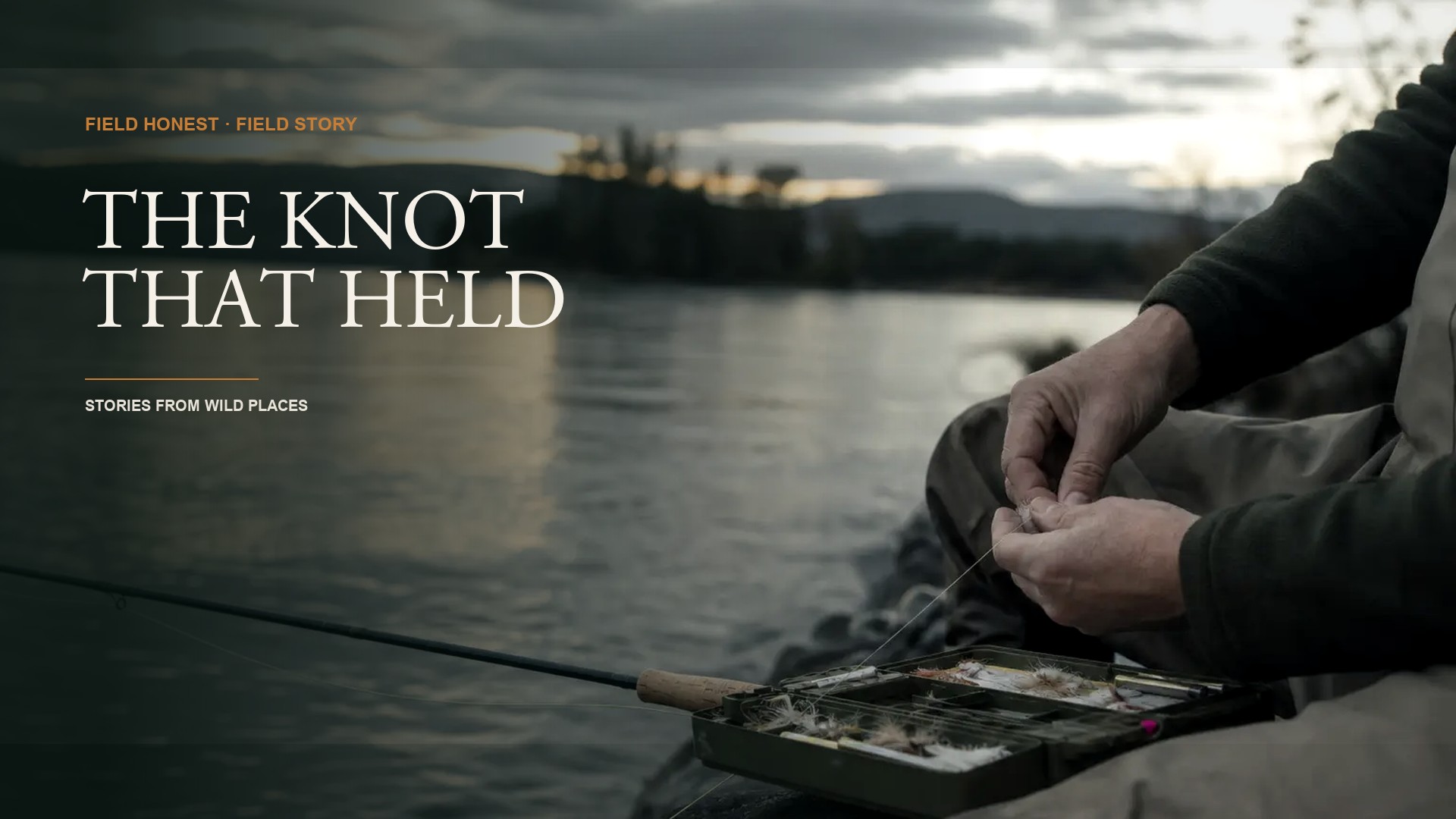 The Knot That Cost Me the Fish, and the Two I Learned to Tie in the Dark episode artwork