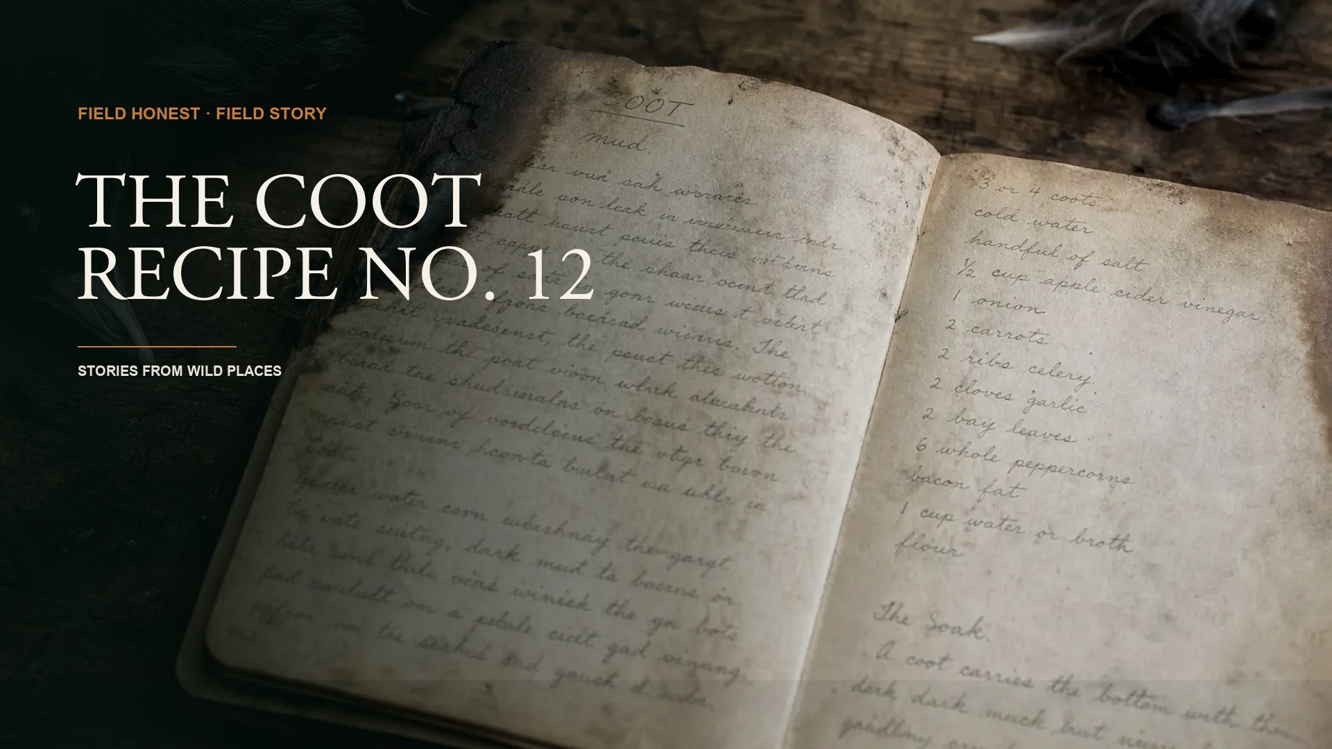 Great-Grandfather’s Leather Folder, Recipe No. 12: Coot episode artwork