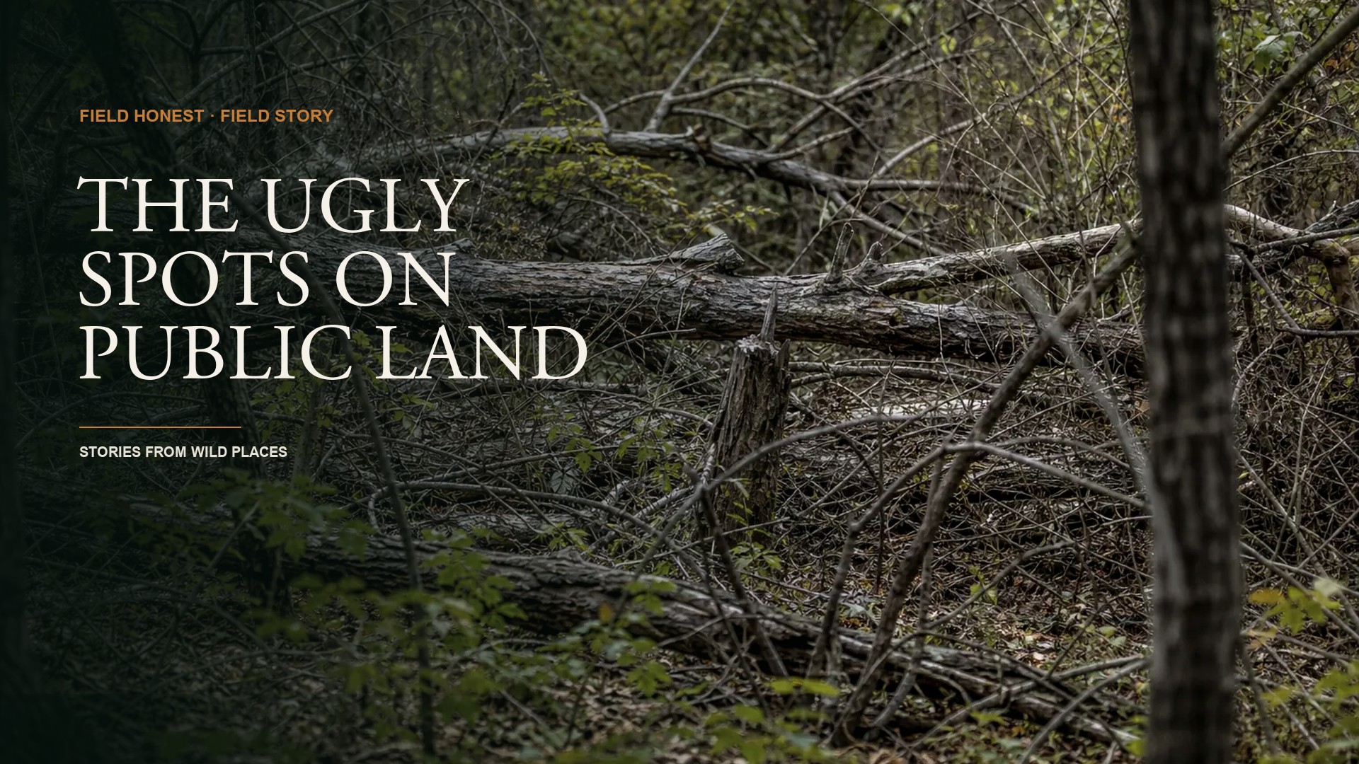 The Prettiest Spots on Public Land Are Empty for a Reason